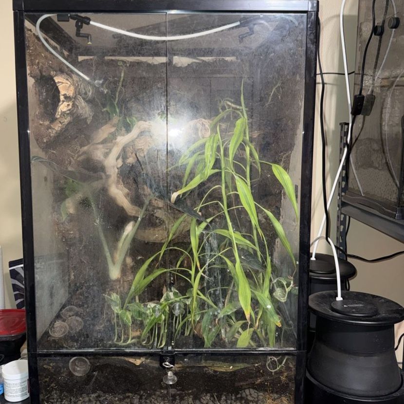 Enclosure / Terrarium / Vivarium