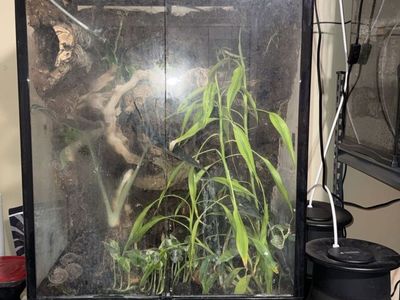 Enclosure / Terrarium / Vivarium