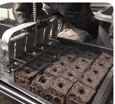 IT'S TIME TO PLANT. I HAVE SEEDS. AND I HAVE SOIL BLOCKS.