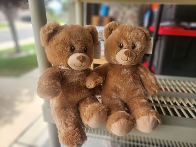 Teddy bears