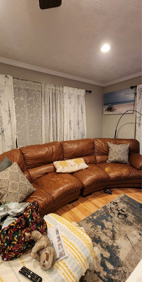Free high end Brown Leather Curved Sectional Sofa