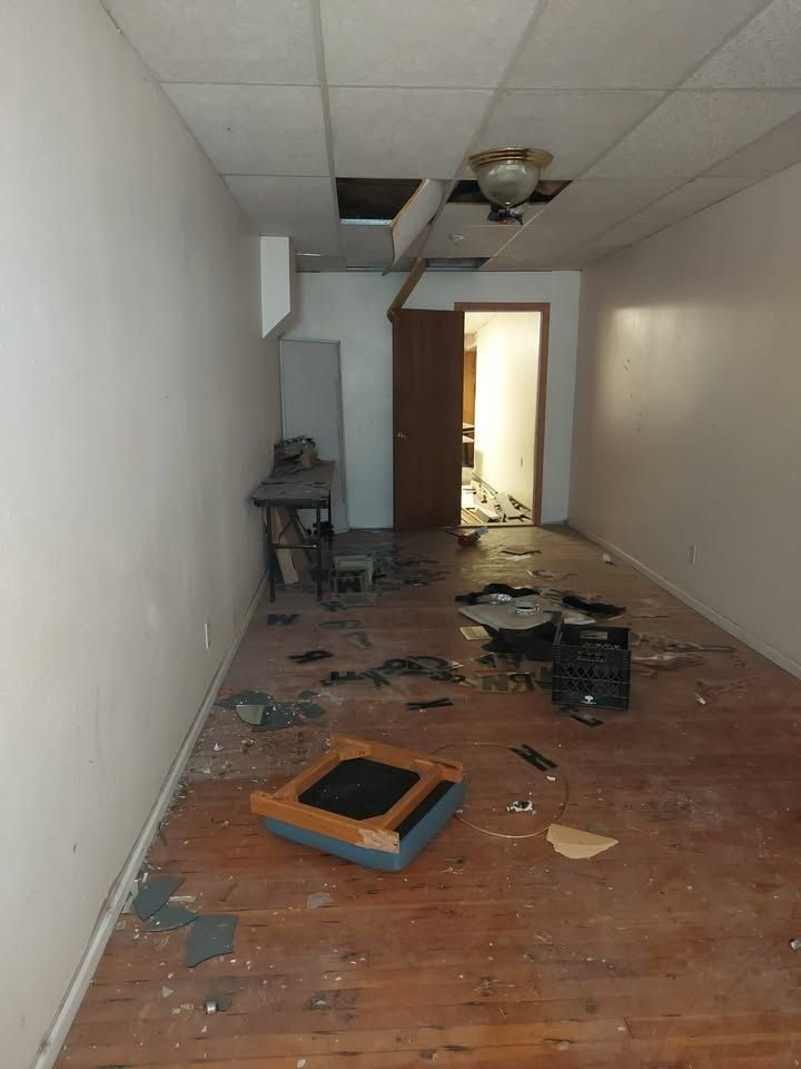 Main image 7