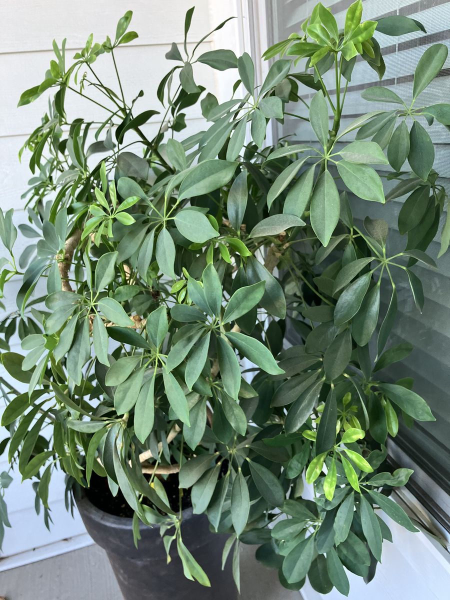 Main image 3