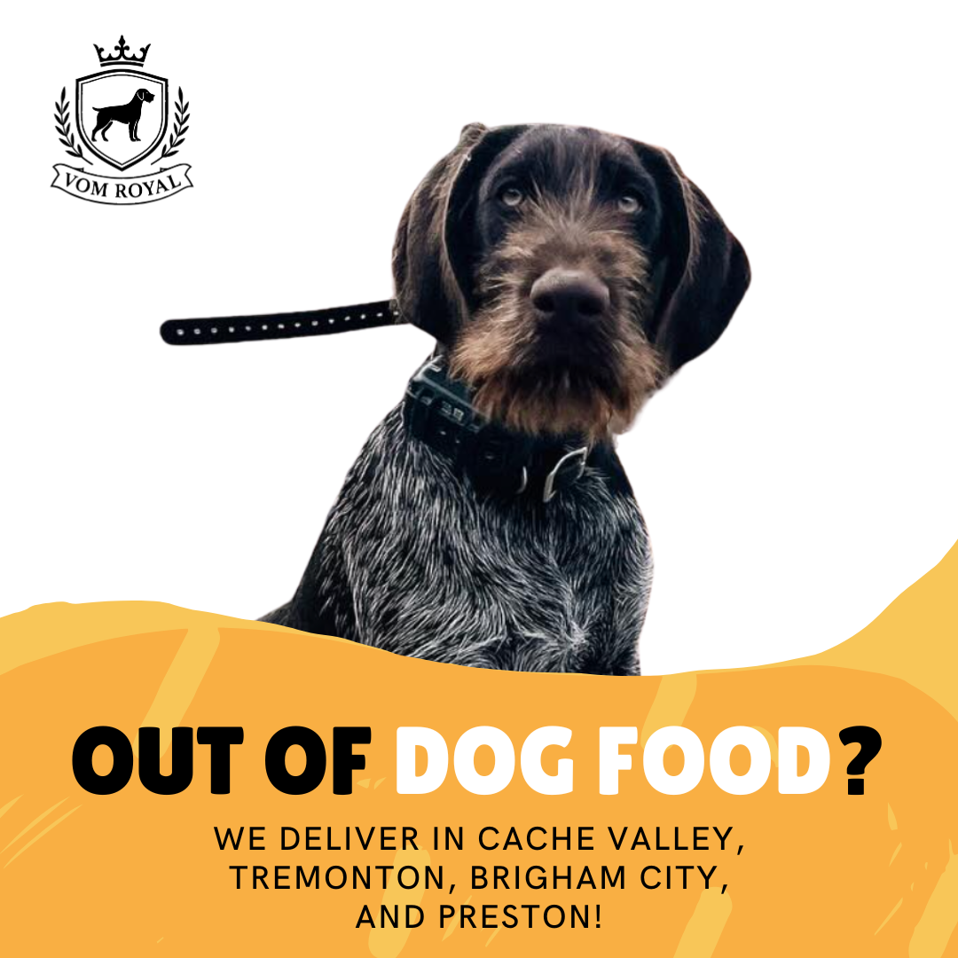 High-Protein Dog Food – 50lb $50 | NO Fillers + FREE First Delivery