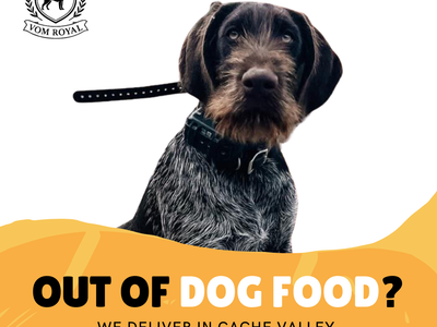 High-Protein Dog Food – 50lb $50 | NO Fillers + FREE First Delivery