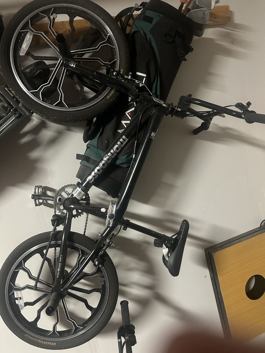 Mongoose bike