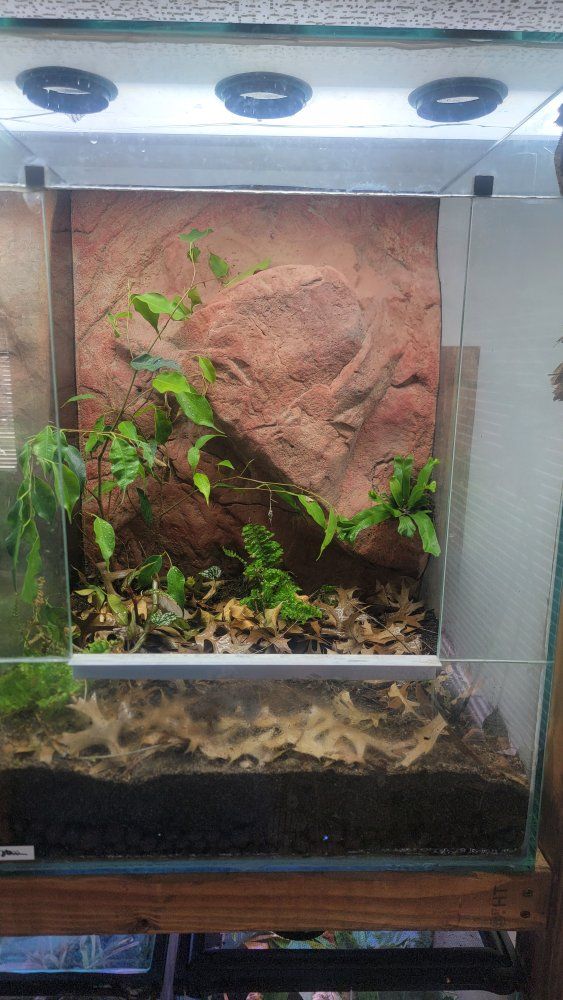 Main image 2