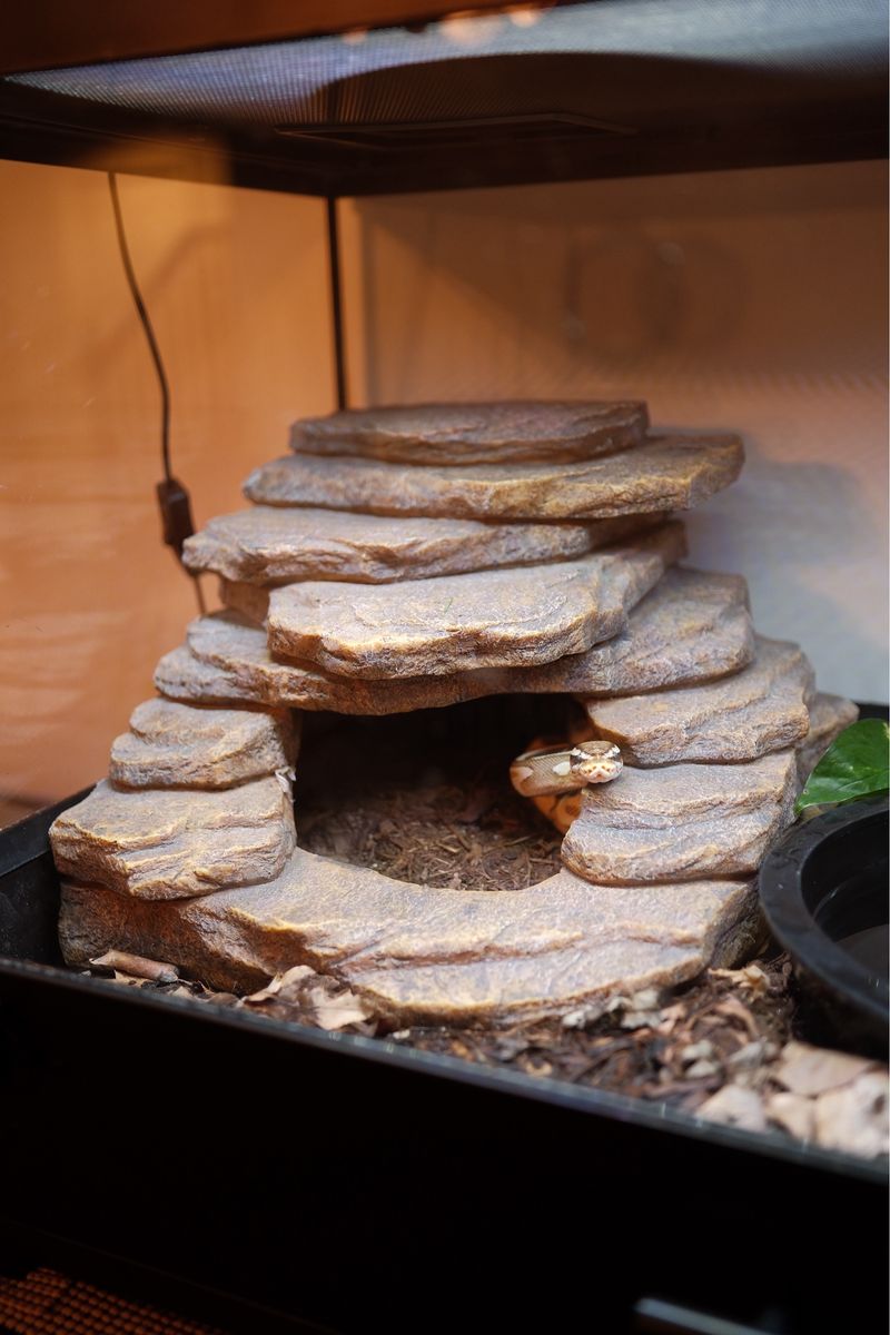 Main image 3