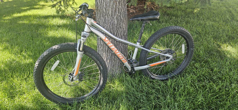 Specialized Rip Rock