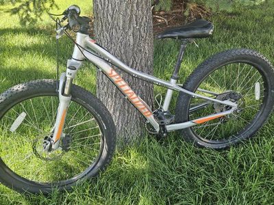 Specialized Rip Rock