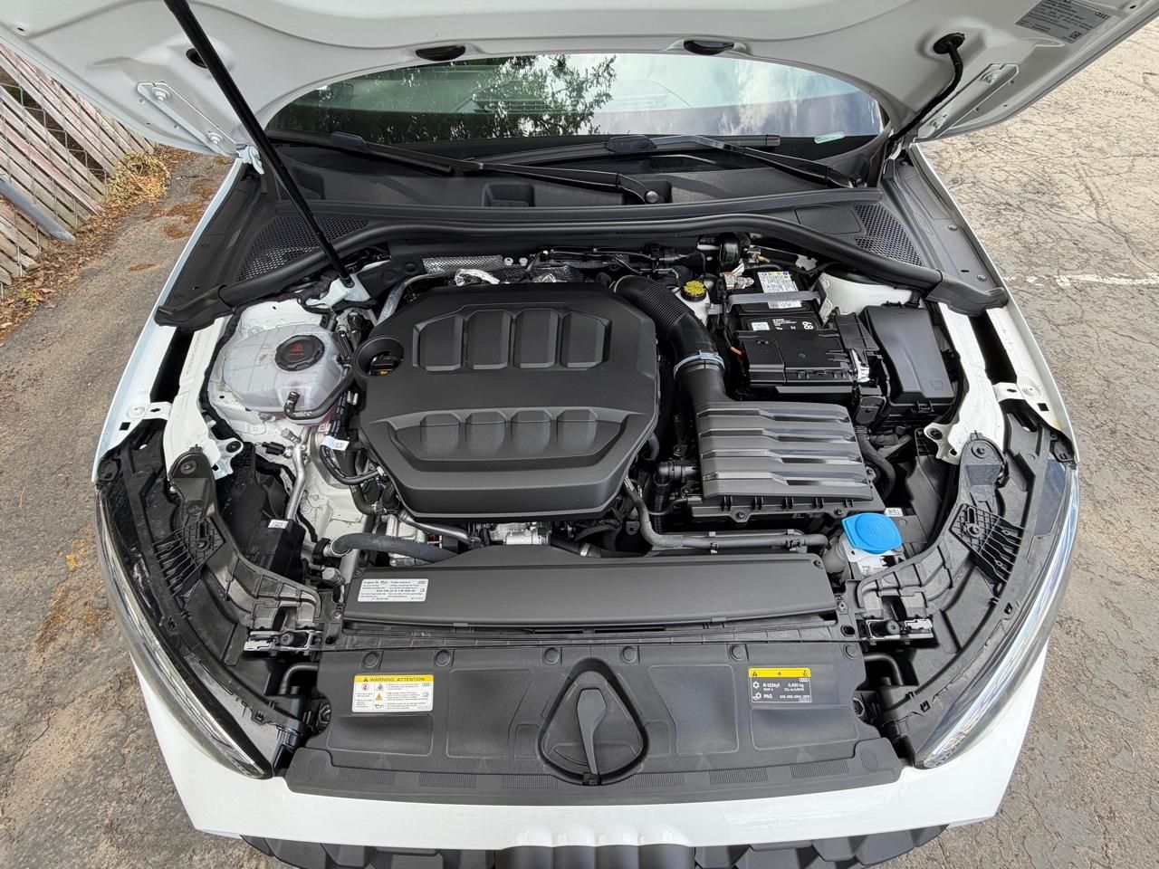 Main image 7