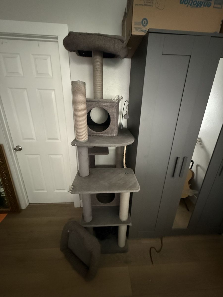 Main image 3