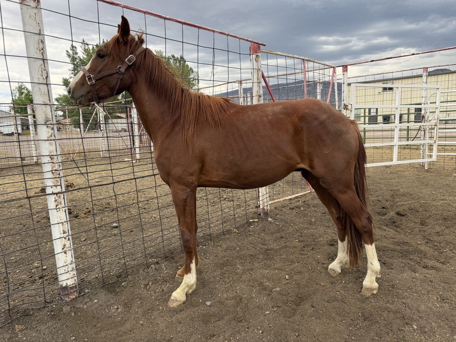 Main image 4