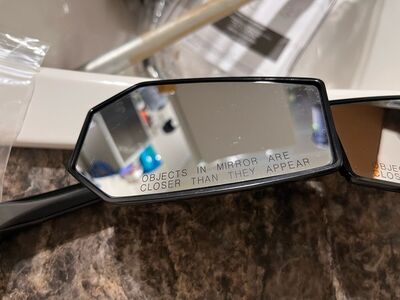 Harley Davidson Dominion Mirrors