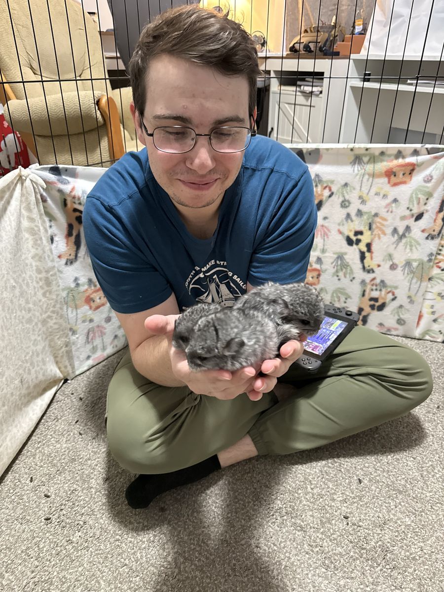 Baby Boy Chinchillas!!!