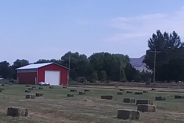 Alfalfa Grass Mix Small Hay Bales