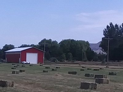 Alfalfa Grass Mix Small Hay Bales
