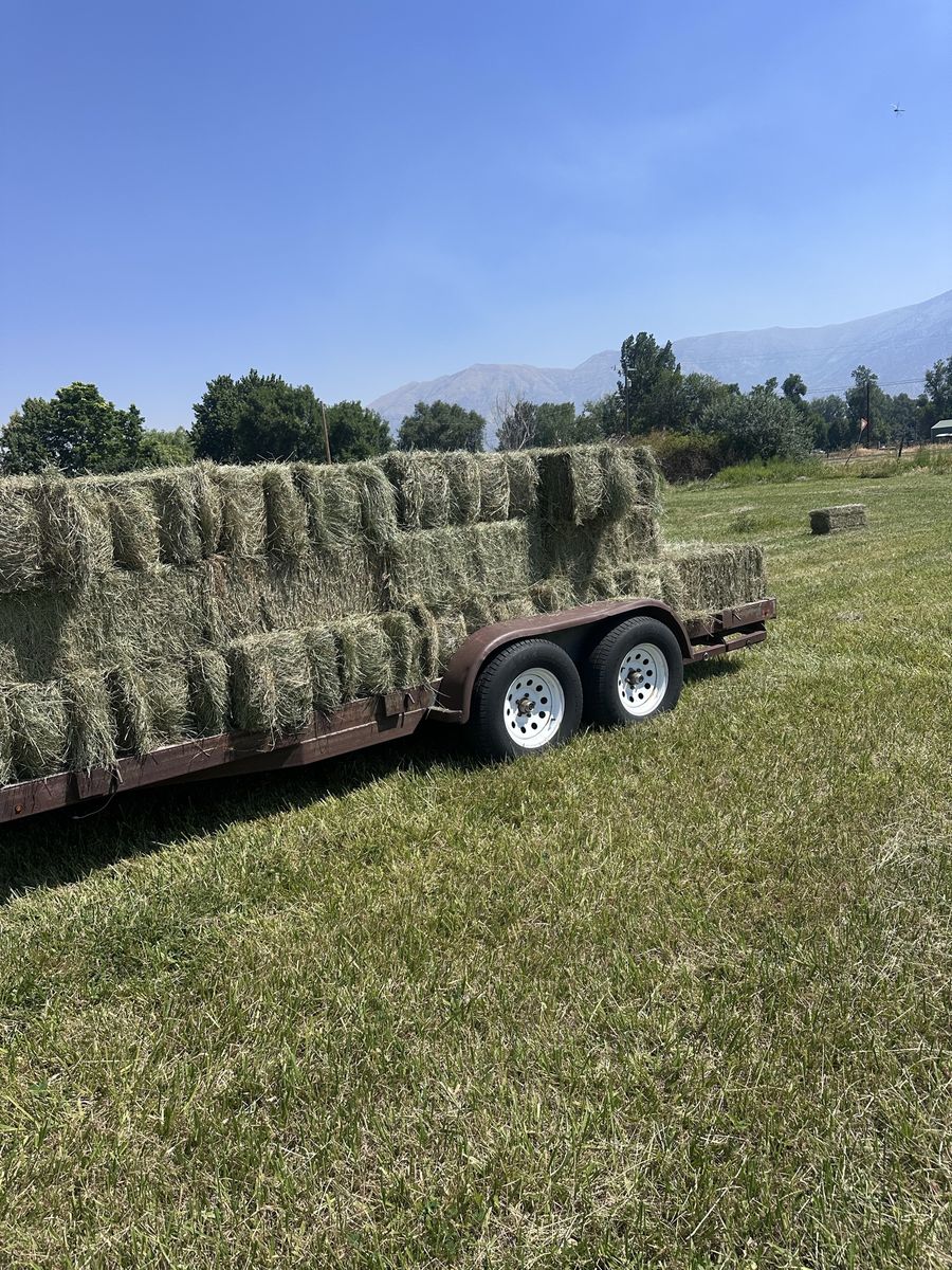 Second Crop Grass Hay