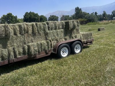Second Crop Grass Hay