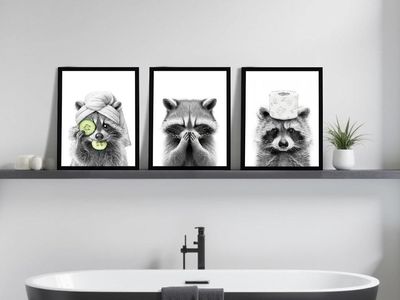 3Pcs Funny Raccoon Wall Art
