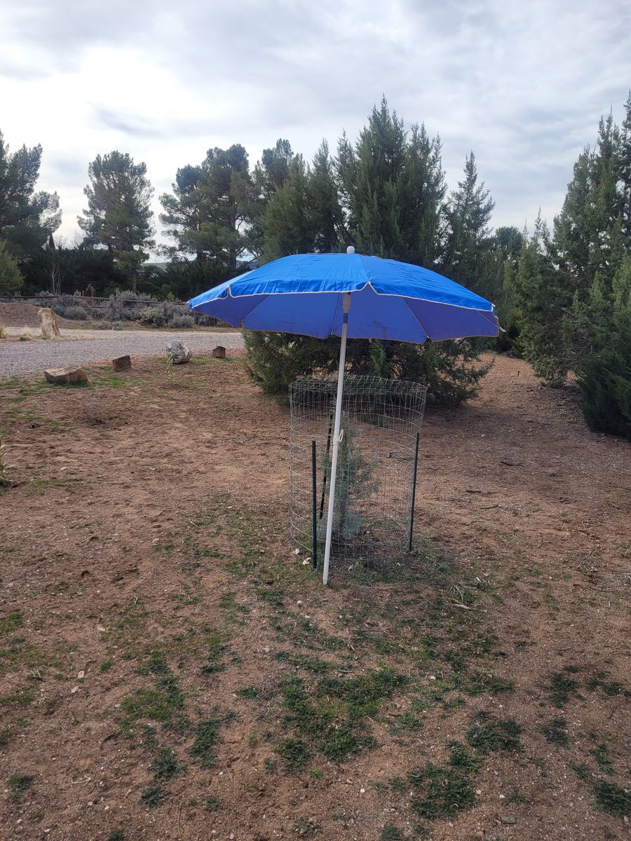 SHADE UMBRELLA
