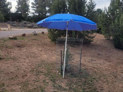SHADE UMBRELLA