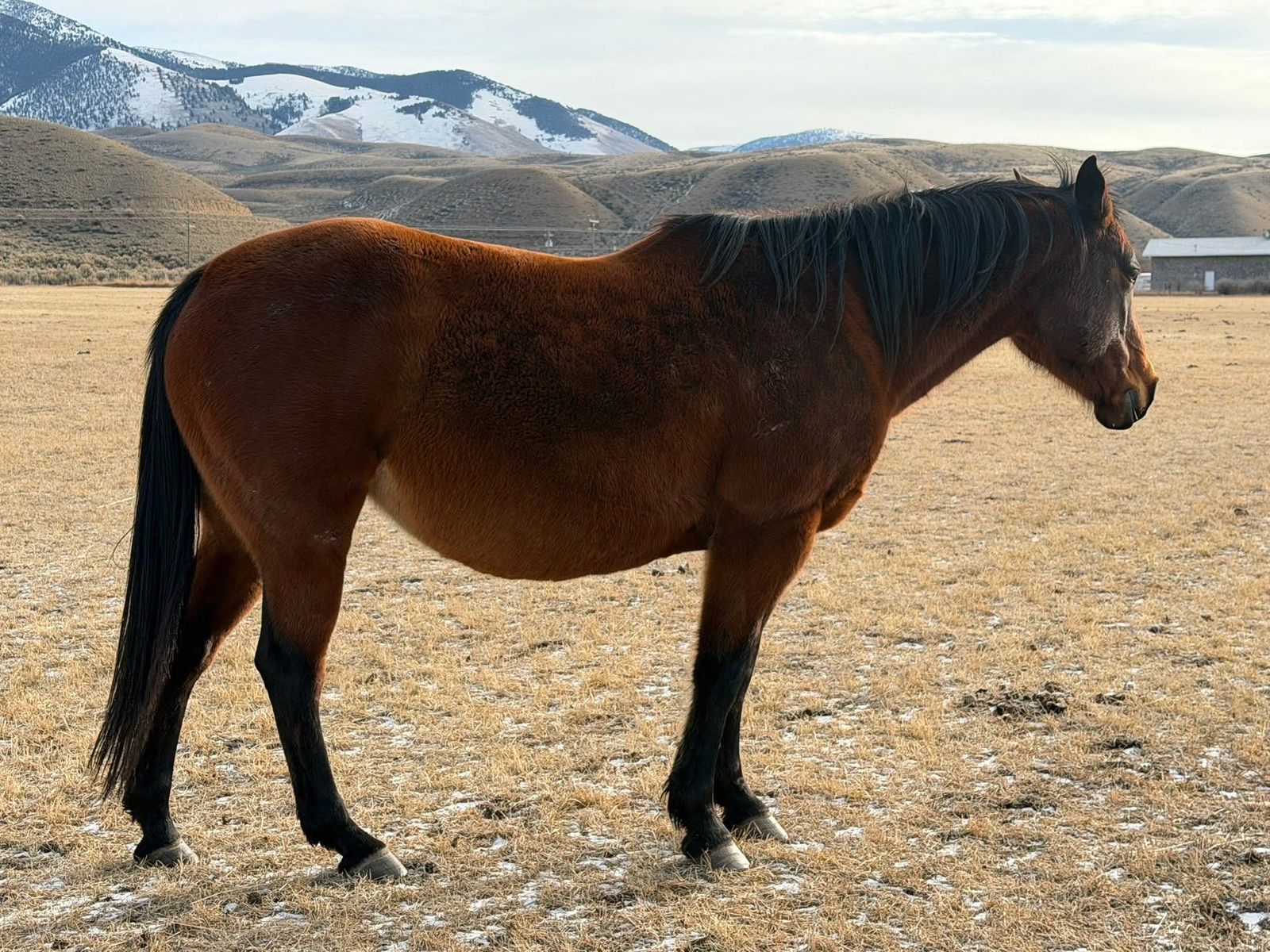 Main image 6