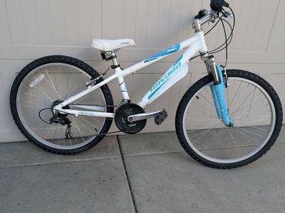 Novara (REI) Moxie 24. Shocks, 24" wheels, 21 speeds