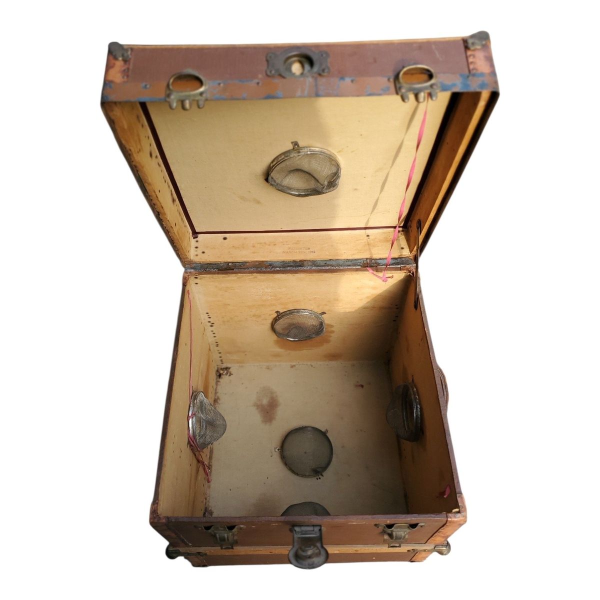 Main image 5