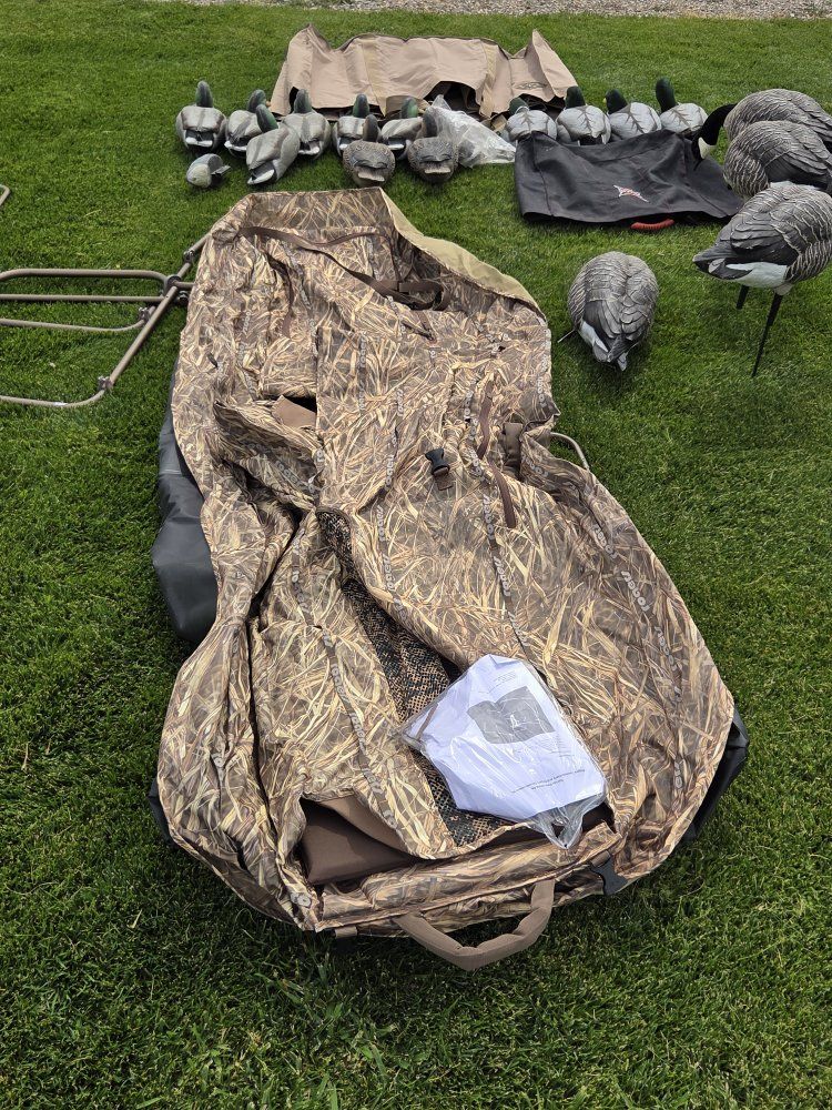 Main image 5