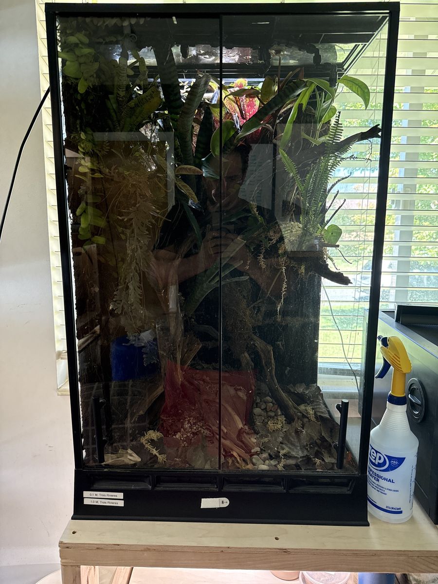 Terrariums