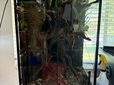 Terrariums