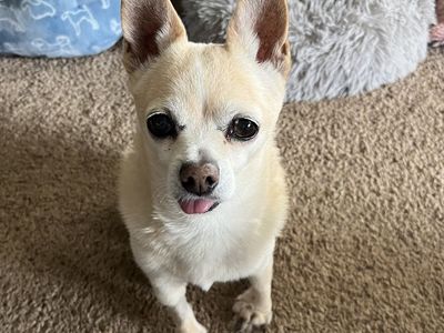 Hello my name is Happy