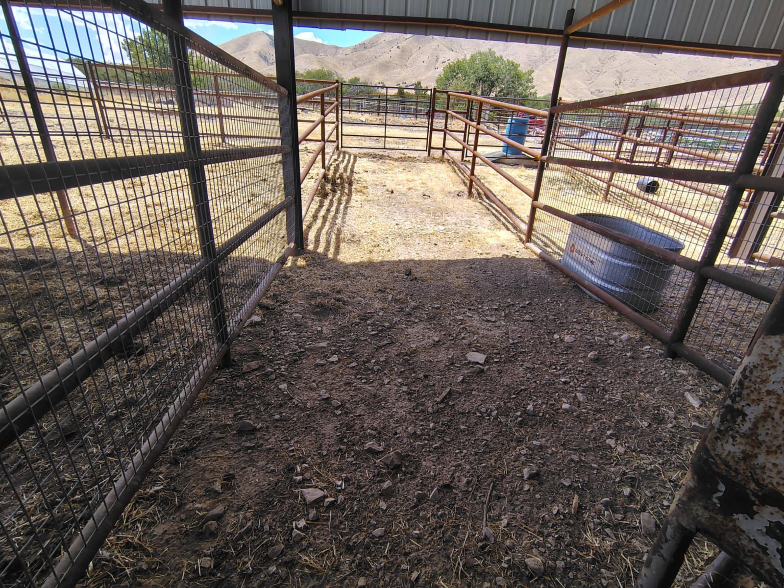 Main image 5