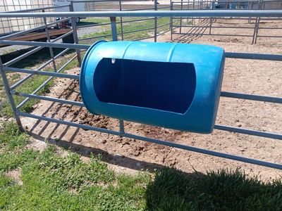 Arizona Style Mangers