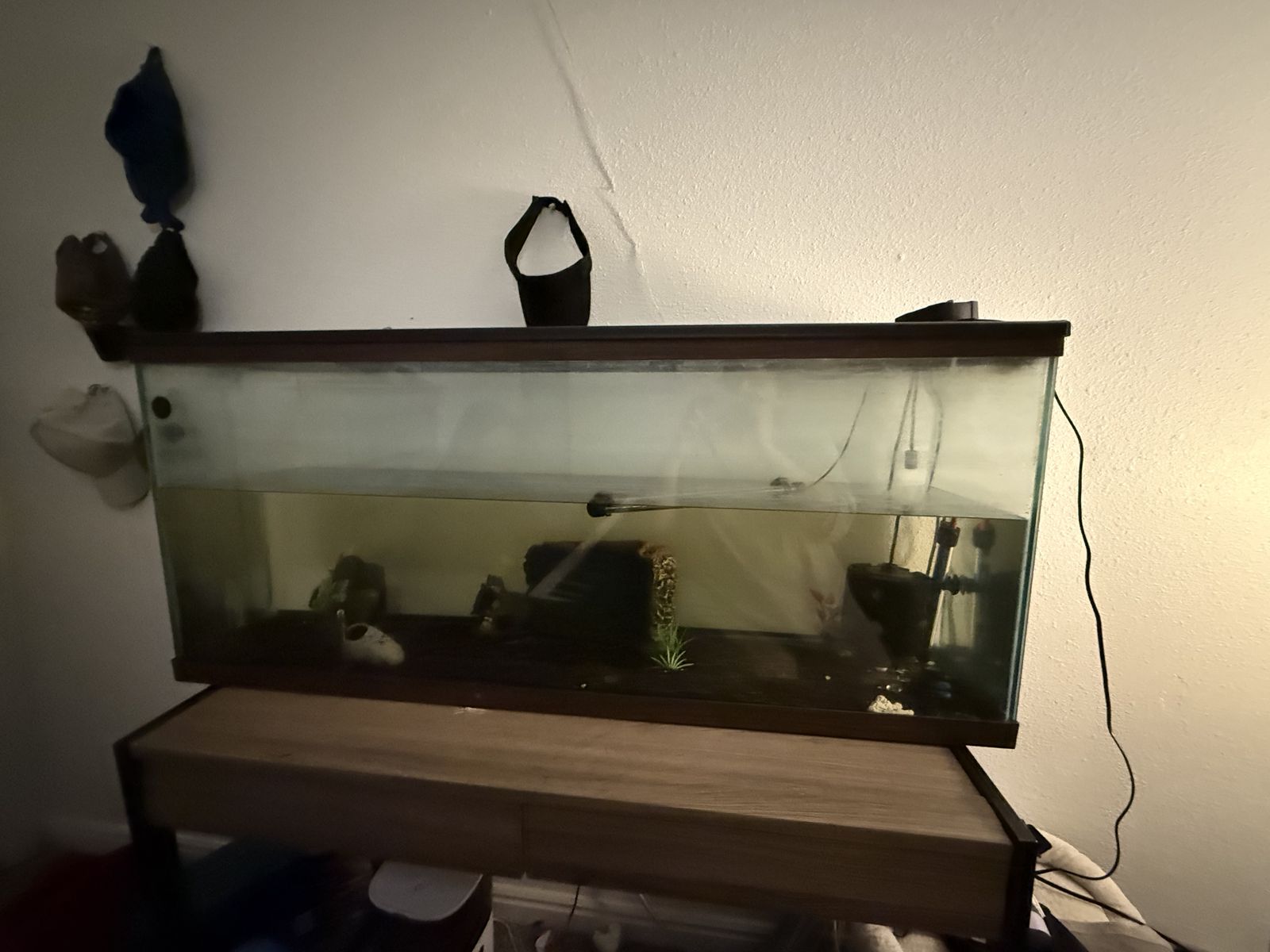 65 Gallon Tank