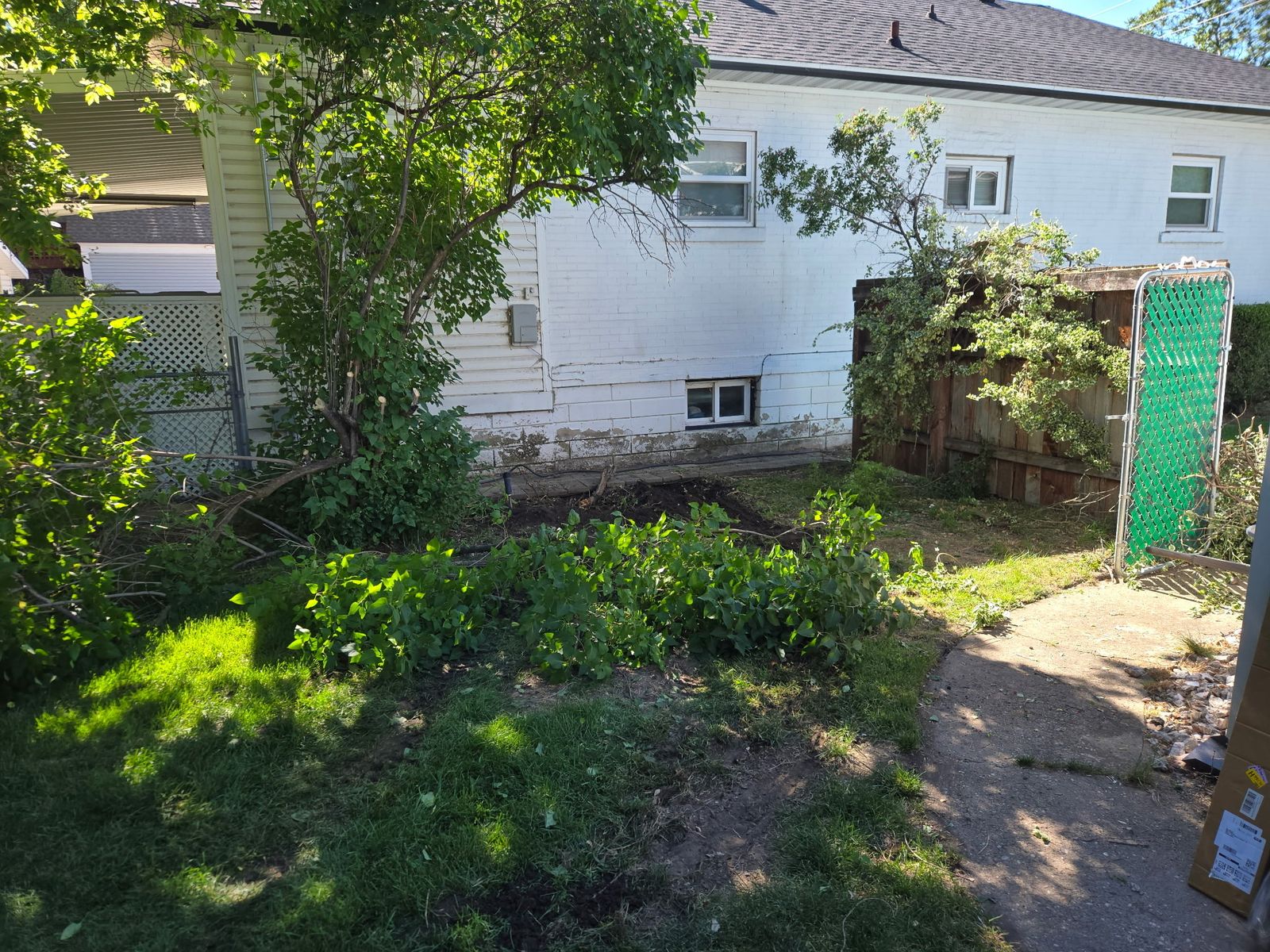 Main image 5