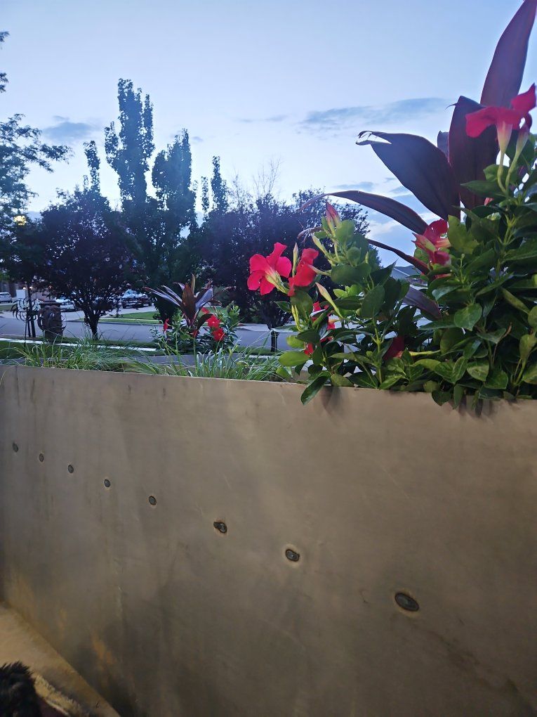 steal planter 8x5 x 38x12