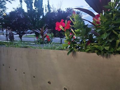 steal planter 8x5 x 38x12