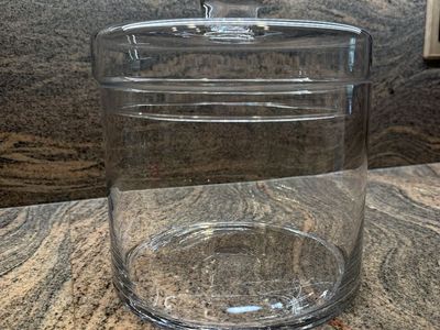 Large Glass Canister w/ Lid