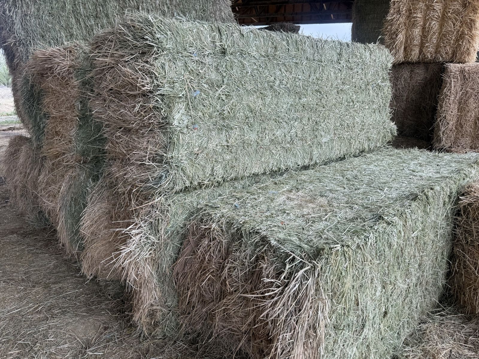 Straight Grass, Bottom Bales