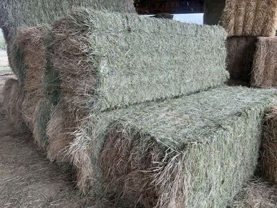Straight Grass, Bottom Bales