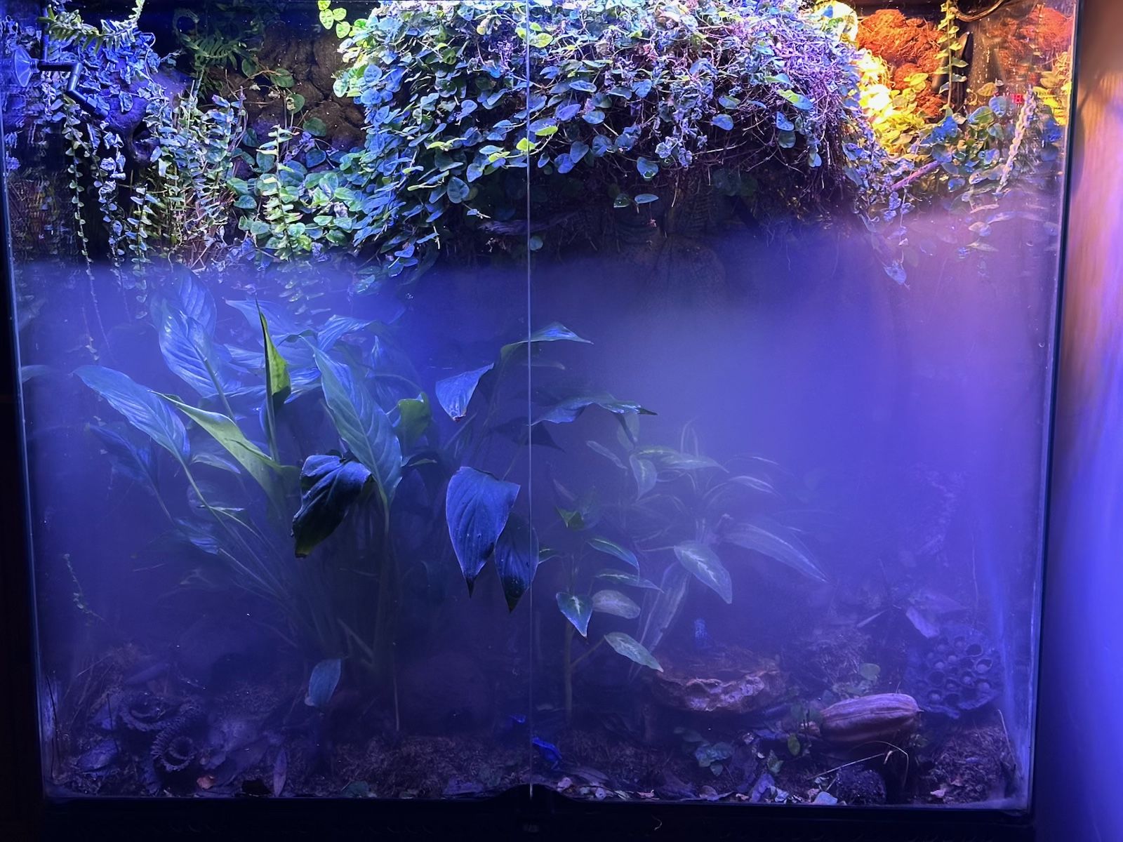 Main image 6