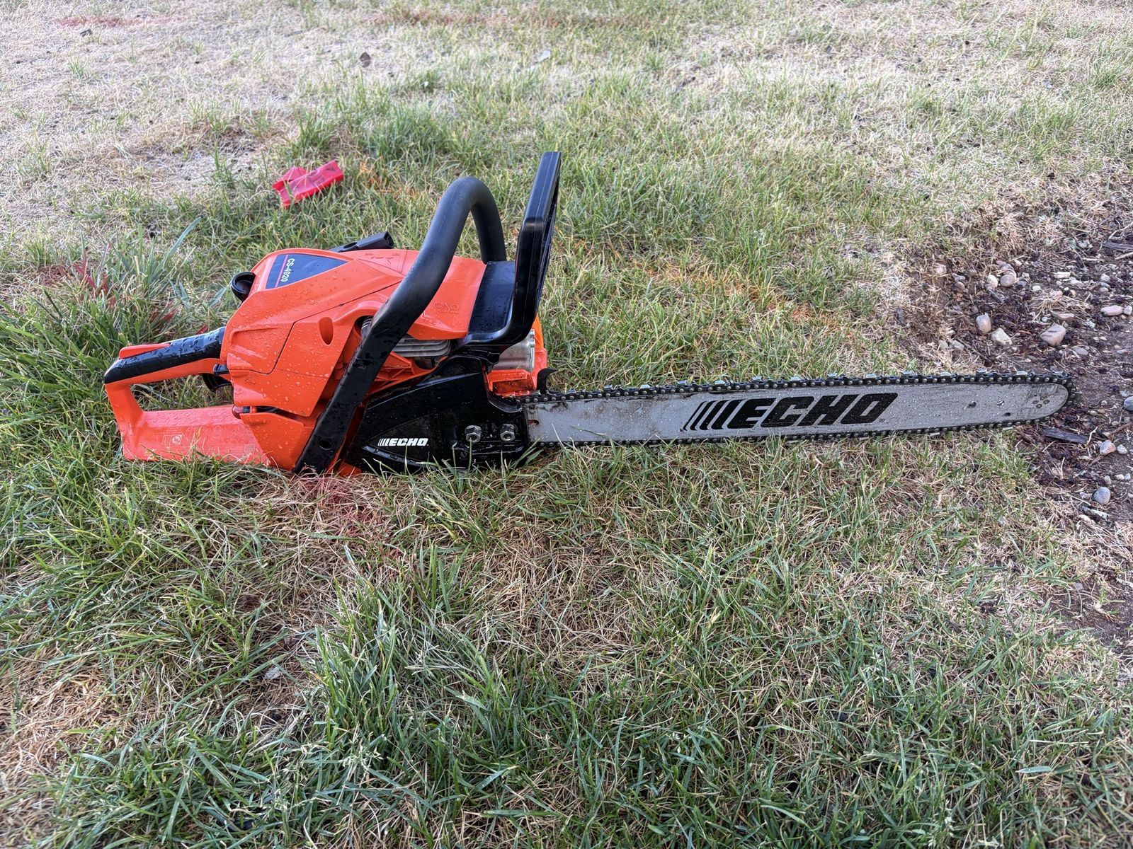 Echo chainsaw
