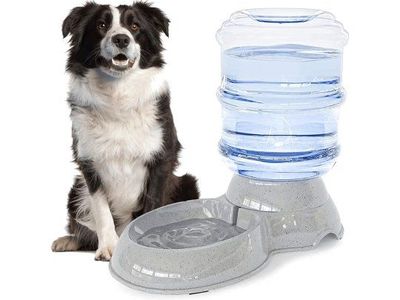 3 GallonAutomatic Gravity Pet Water Dispenser