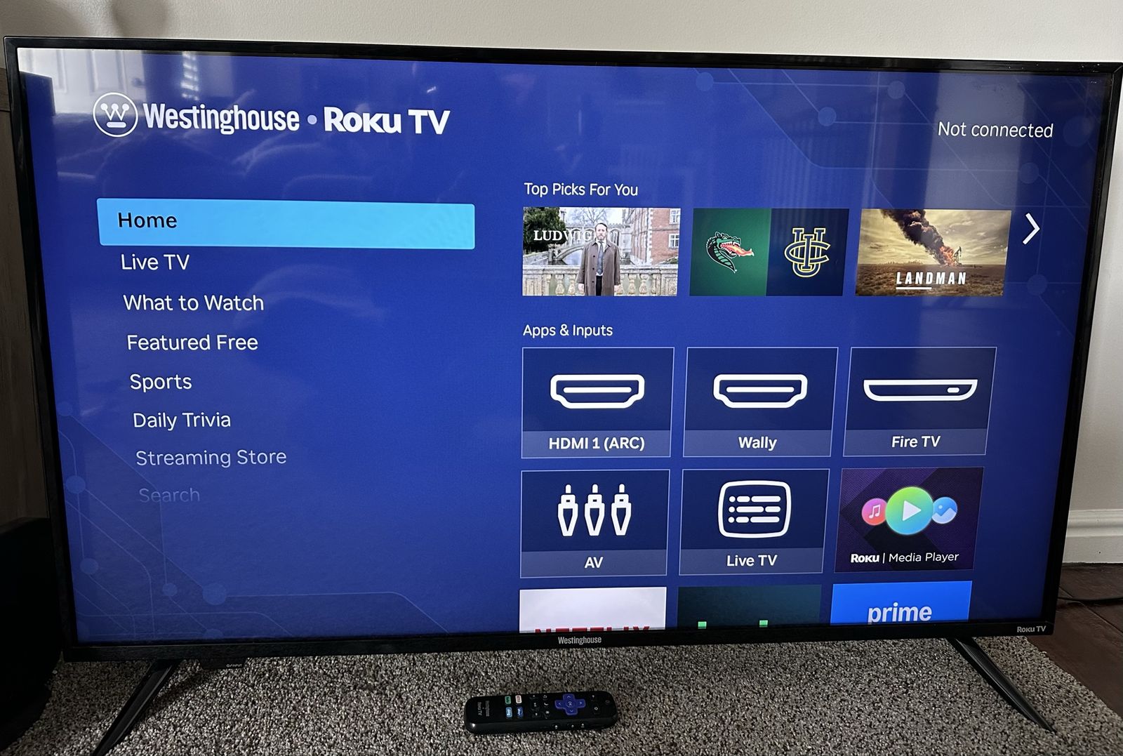 Roku 43" TV