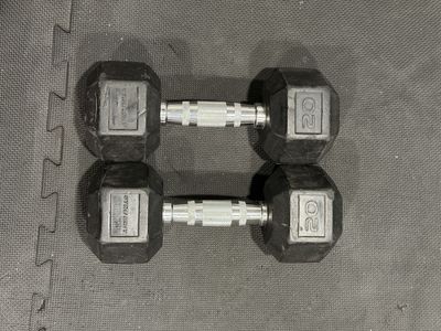 20 LB Dumbbells
