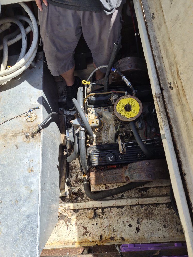 Main image 6
