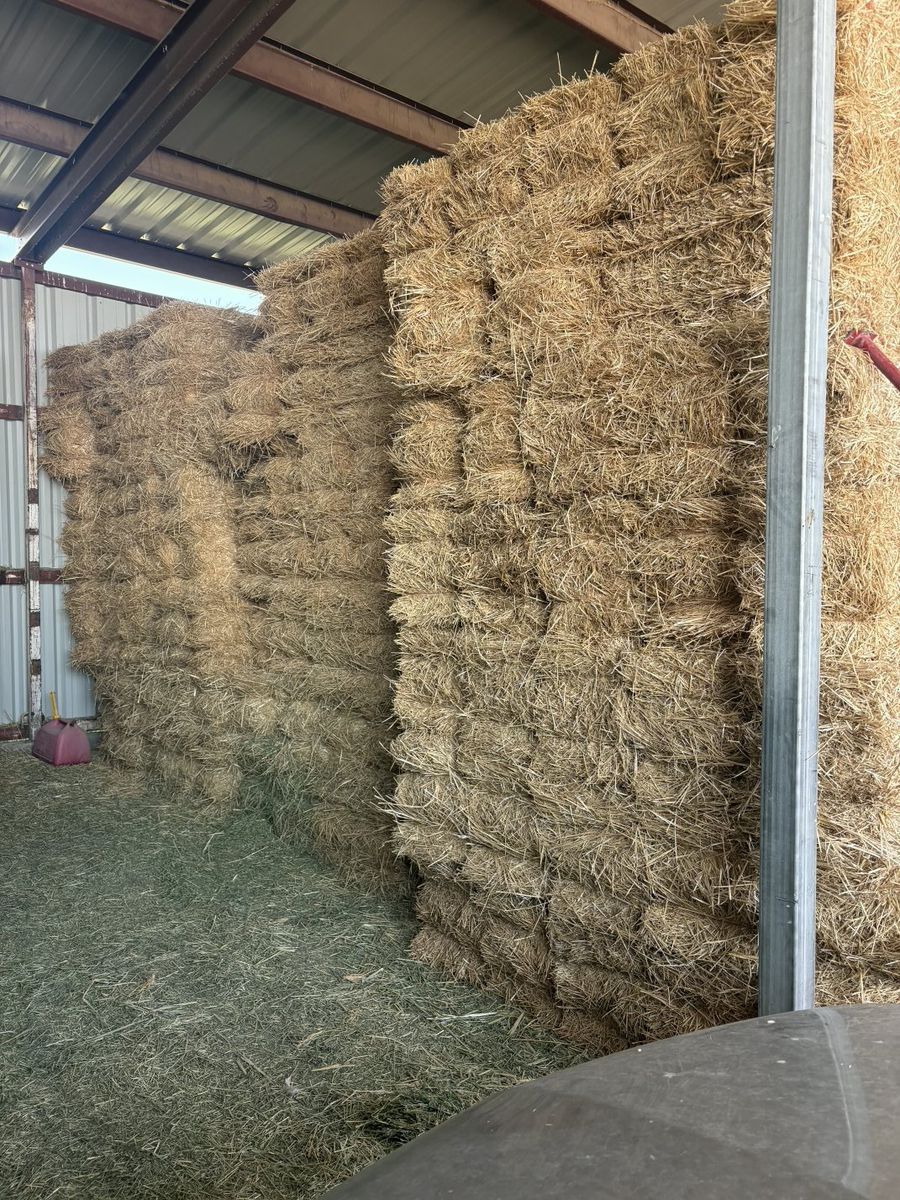 Barn Stored Straw Bales