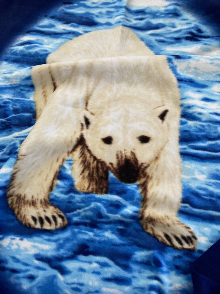 Polar Bear Blue fleece fabric